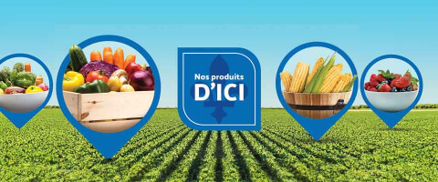 Nos produits dici