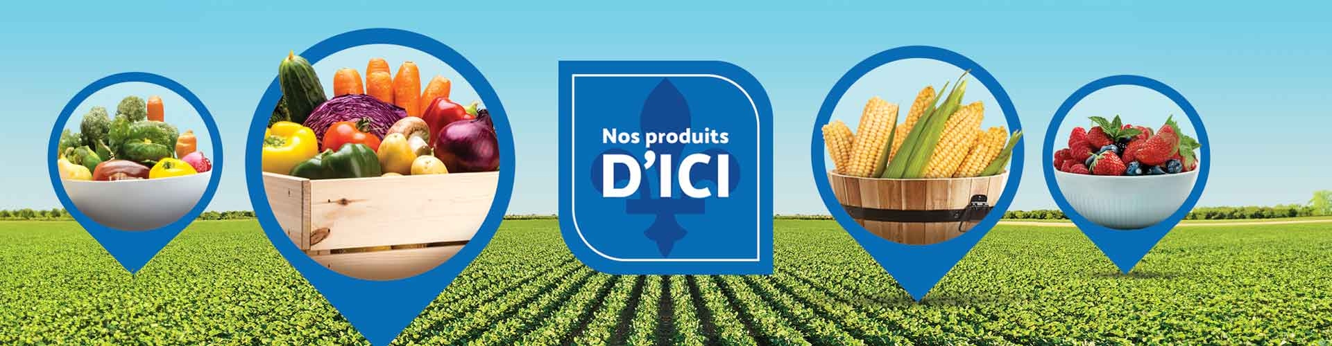 Nos produits dici